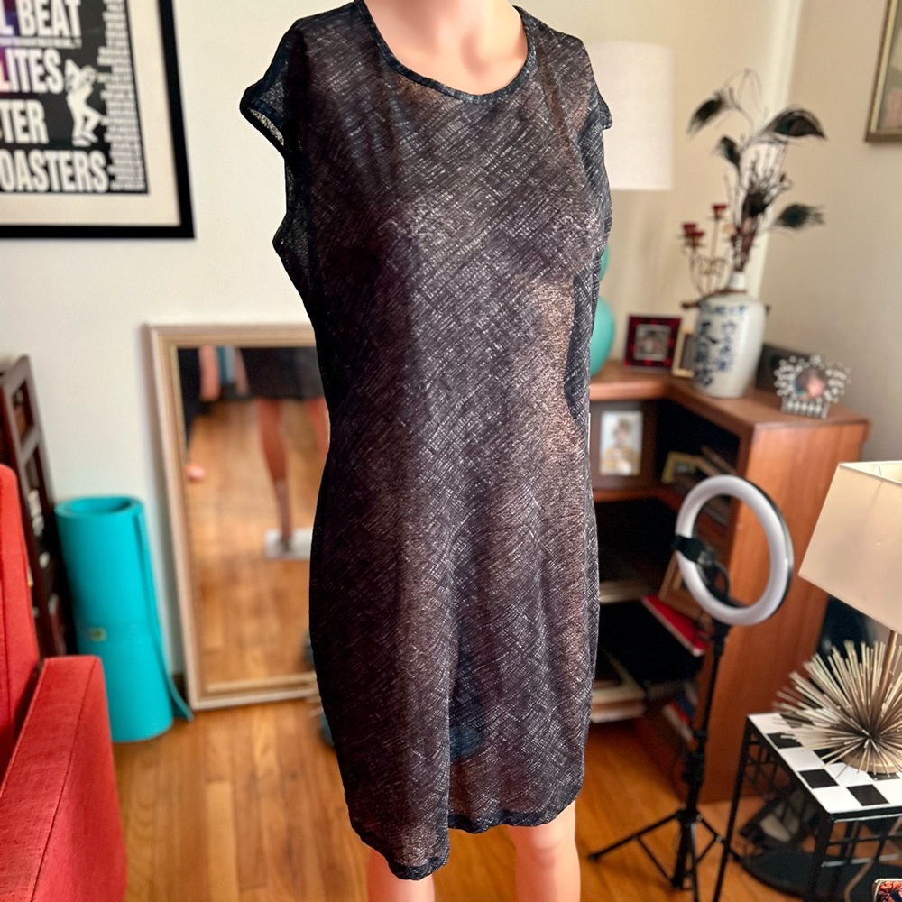 Vintage Express Sheer Dress